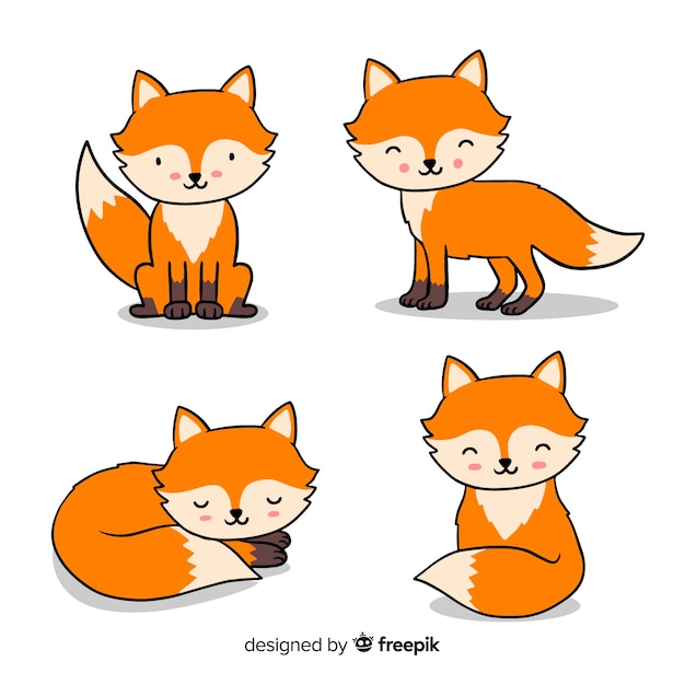 Collection of hand drawn foxes