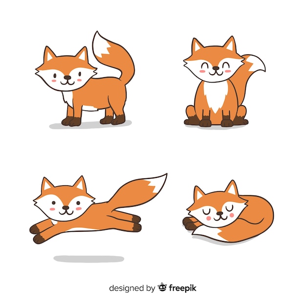 Collection of hand drawn foxes