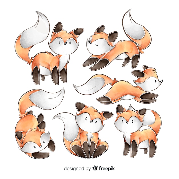 Free vector collection of hand drawn foxes