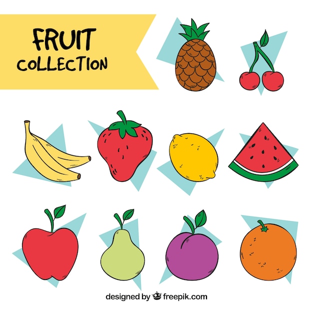 Collection of hand-drawn fruits