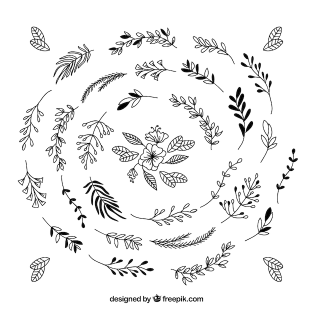 Free vector collection of hand drawn ornamental leaves