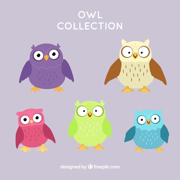 Collection of hand drawn owls