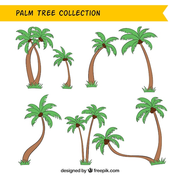 Collection of hand-drawn palm trees