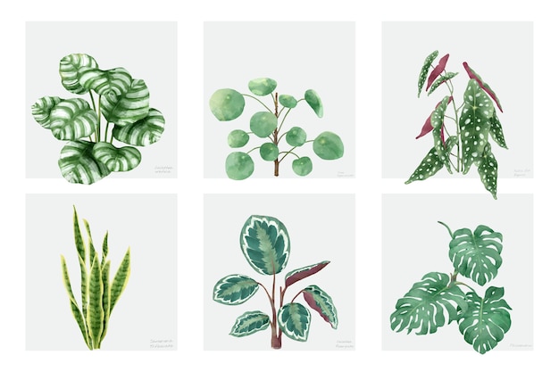 Collection of hand drawn plants isolated on white background