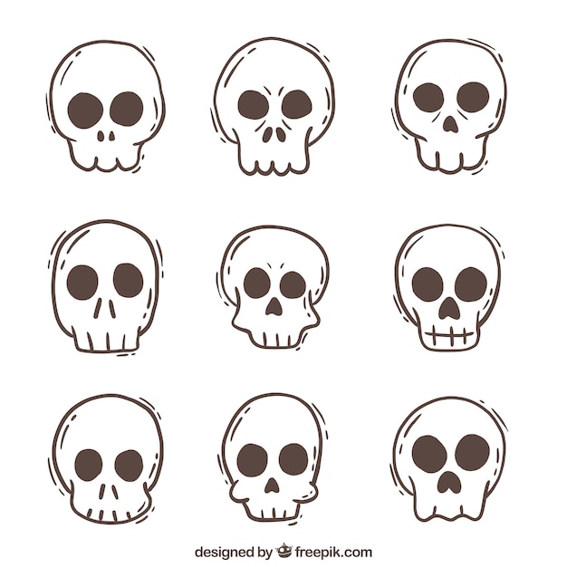 Free vector collection of hand drawn skulls