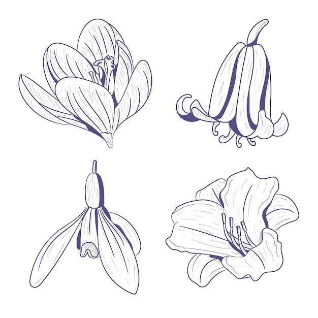 Collection of hand drawn spring flowers