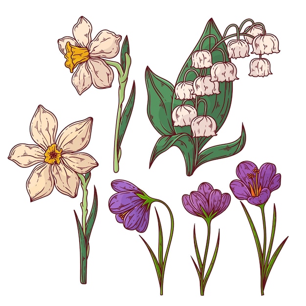 Collection of hand drawn spring flowers