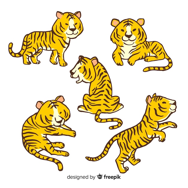 Collection of hand drawn tigers