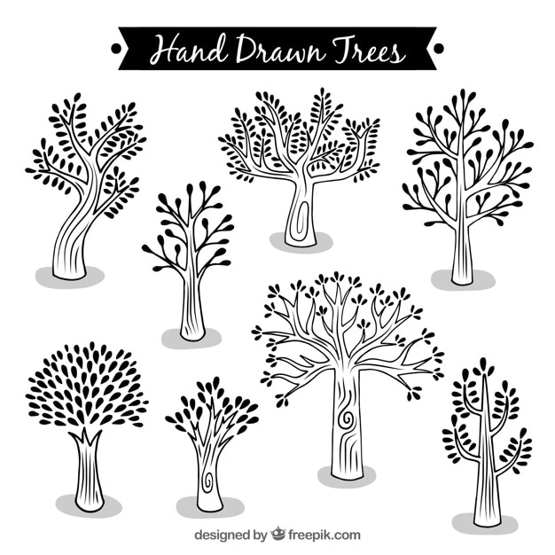 Collection of hand drawn trees