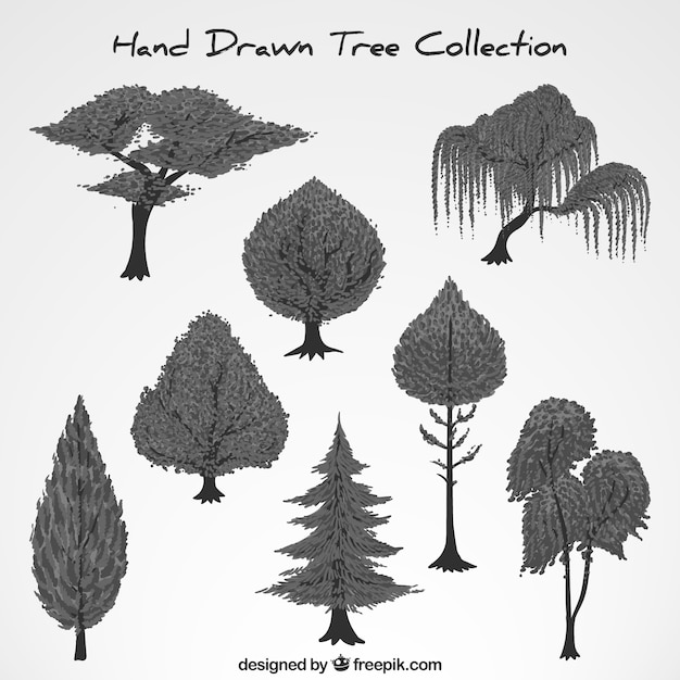 Collection of hand-drawn trees