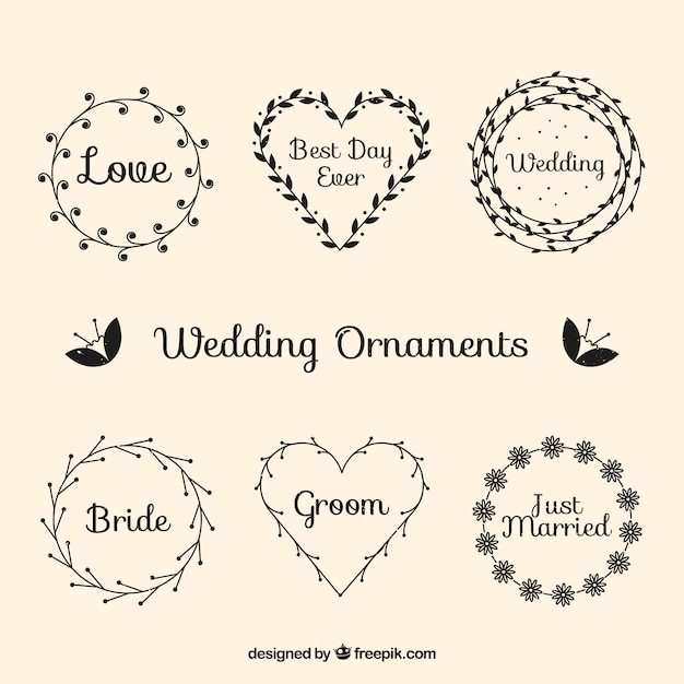 Collection of hand drawn wedding ornaments