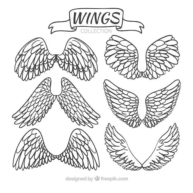 Collection of hand-drawn wings