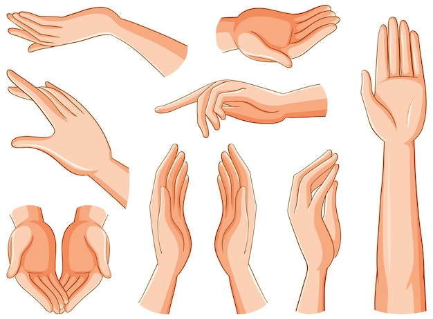 Collection of human hands