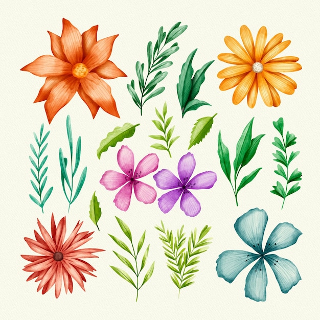 Collection of isolated flowers and leaves