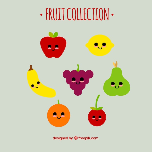 Free Vector collection of lovely fruits