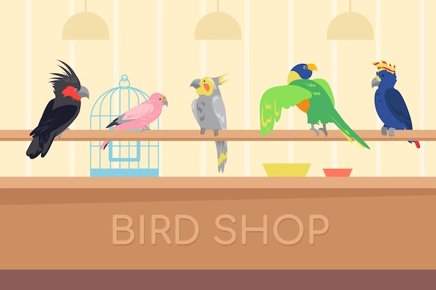 Collection of multicolored parrots in bird shop. Wild tropical exotic birds for house cartoon illustration