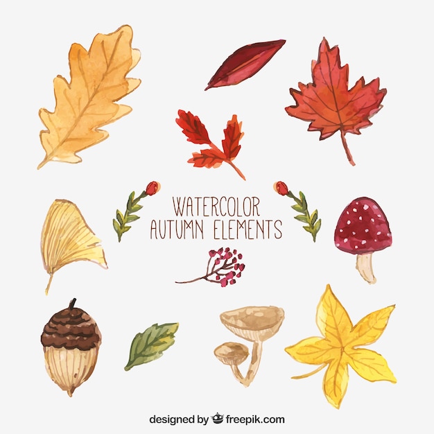 Free vector collection of natural element of autumn watercolor