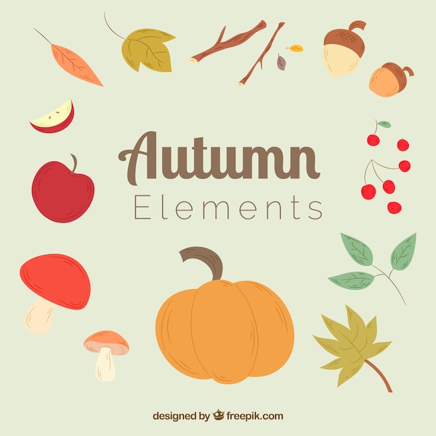 Free vector collection of natural elements of autumn