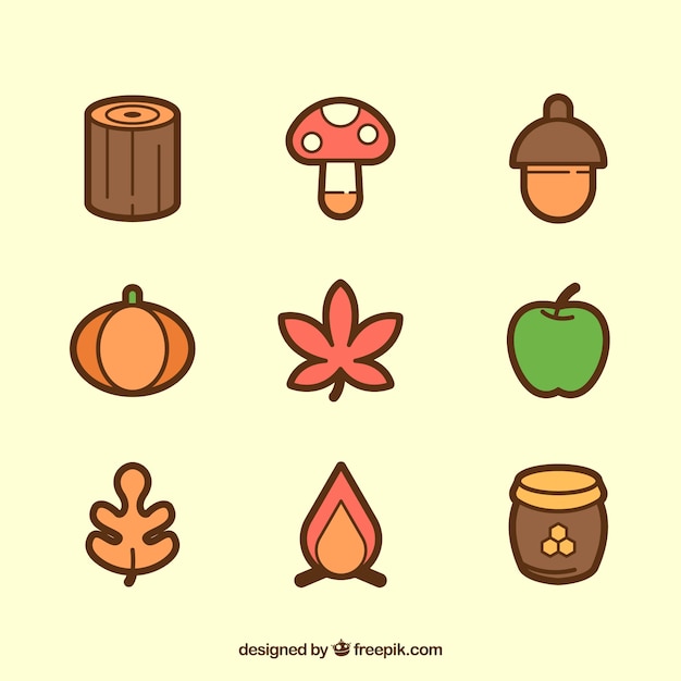 Collection of natural elements of autumn