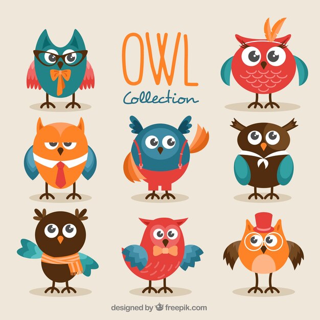 Free Vector collection of nice owls