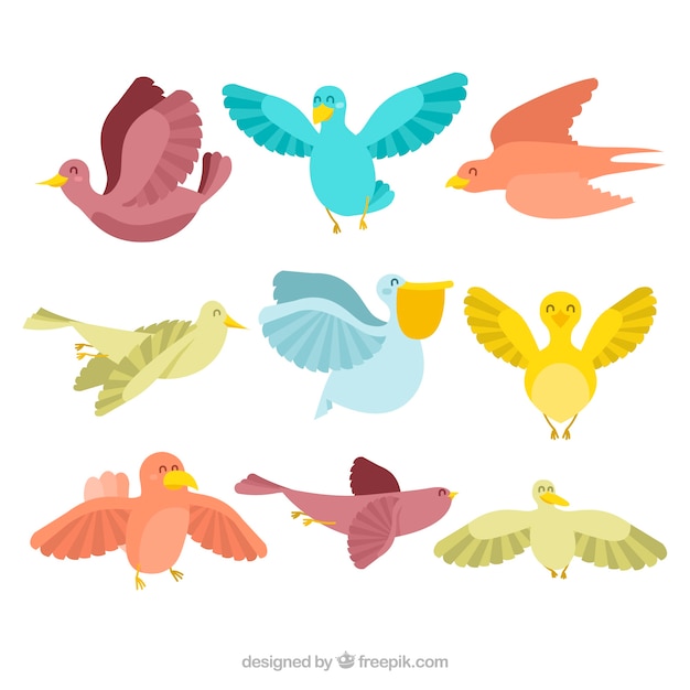 Free Vector collection of nine colorful birds