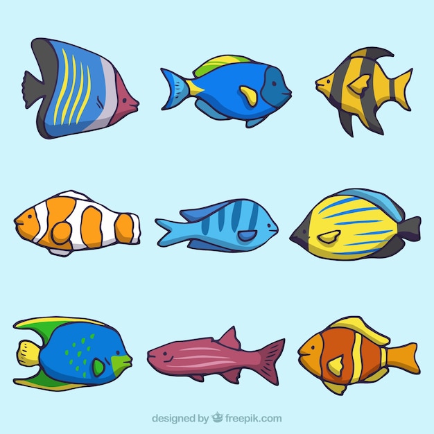 Free Vector collection of nine fish