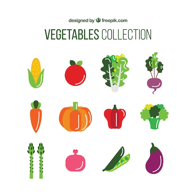 Collection of nutritious vegetable