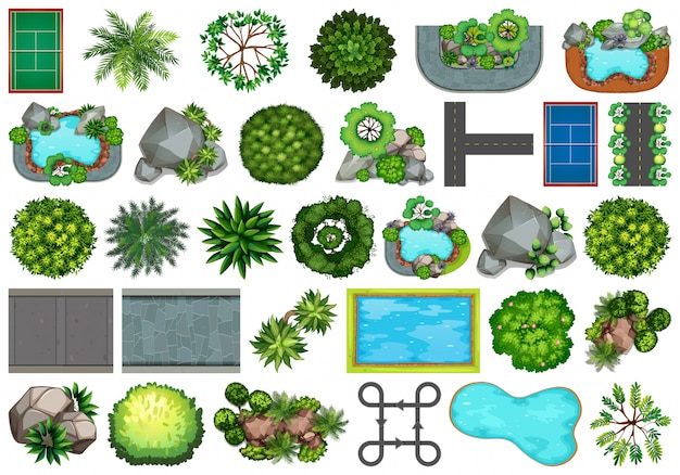 Collection of outdoor nature themed objects and plant elements