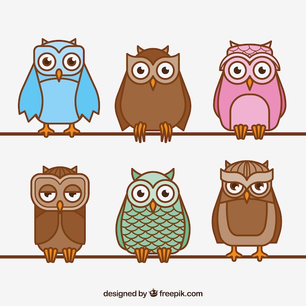 Free vector collection of outline owls in different colors