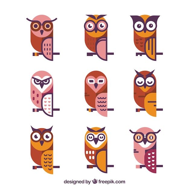 Free Vector collection of owls in flat design