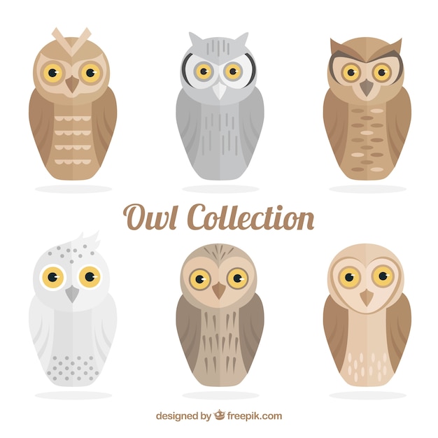 Free vector collection of owls in flat design