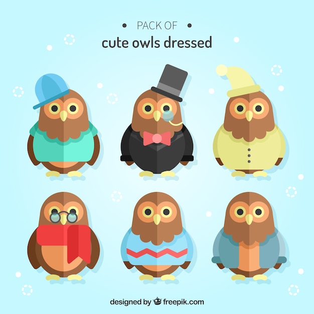 Free Vector collection of owls with clothes in flat design