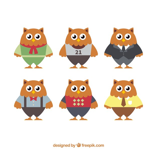 Collection of owls with clothes