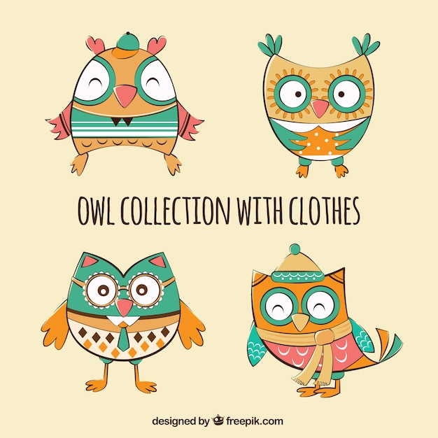 Free Vector collection of owls with hand drawn clothing