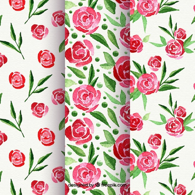 Collection of patterns of roses and watercolor flowers