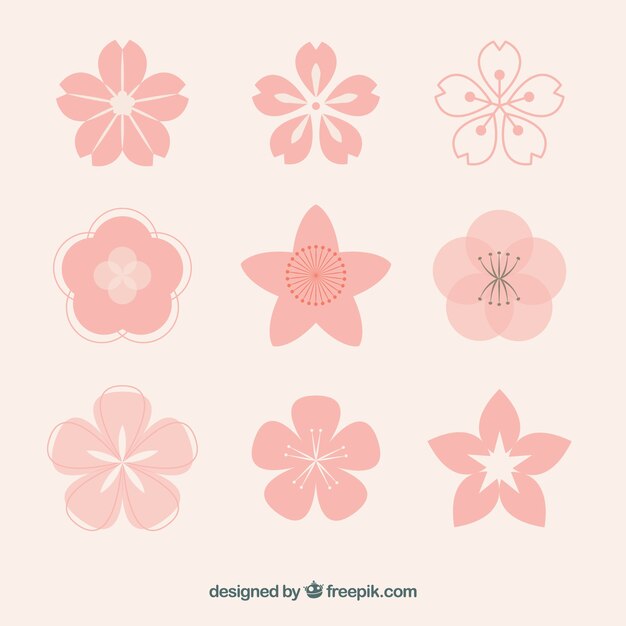 Collection of pink flowers with variety of designs