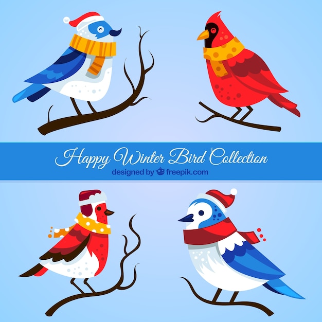 Free Vector collection of pretty birds with scarves