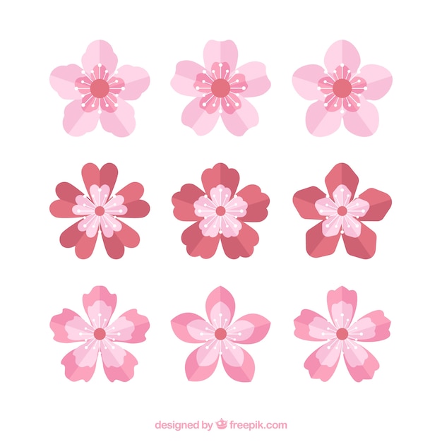 Free Vector collection of pretty cherry blossoms in flat design