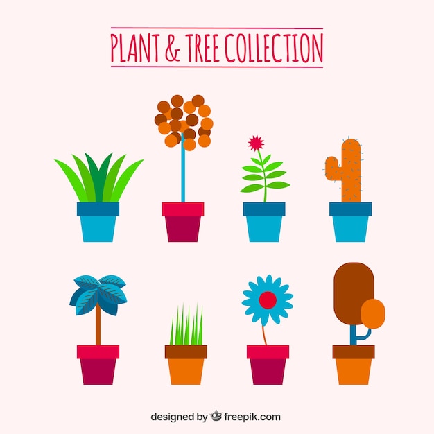 Free Vector collection of pretty colorful pots