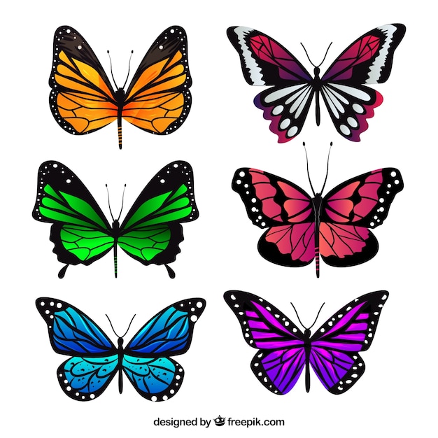 Collection of realistic butterflies