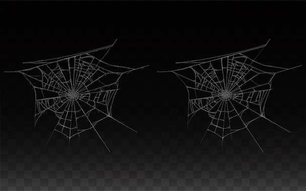 collection of realistic cobweb, spider web isolated on dark background. 