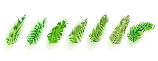 Free Vector collection of realistic green leaves ornament design vector illustration