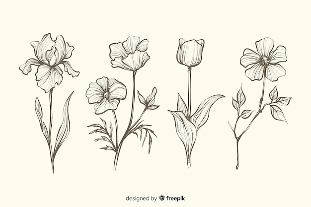 Collection of realistic hand drawn botanical flowers