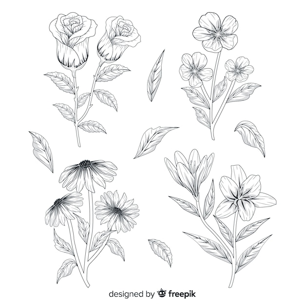 Collection of realistic hand drawn botanical flowers