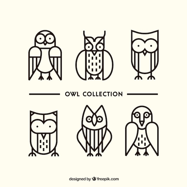 Free Vector collection of six outline owls