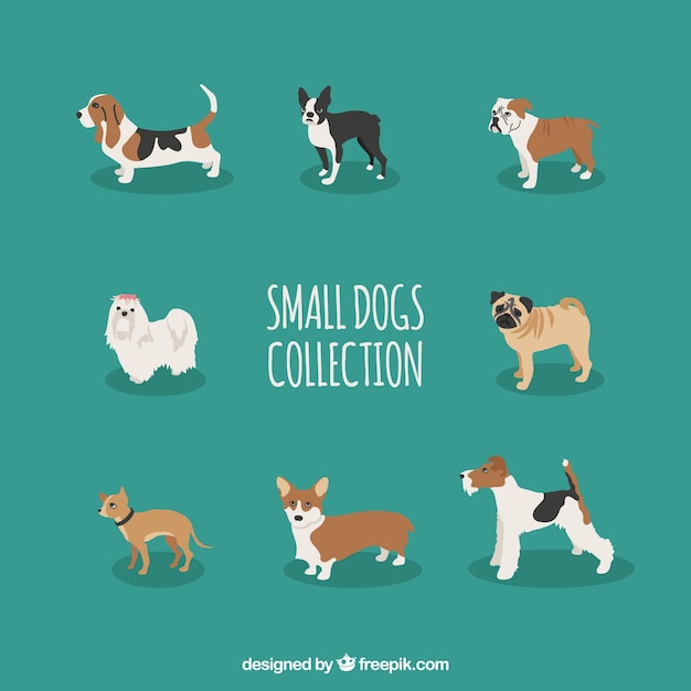 Free Vector collection of small dog