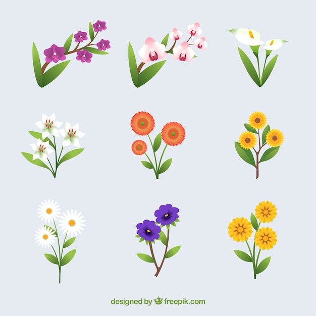 Collection of summer flowers in flat design