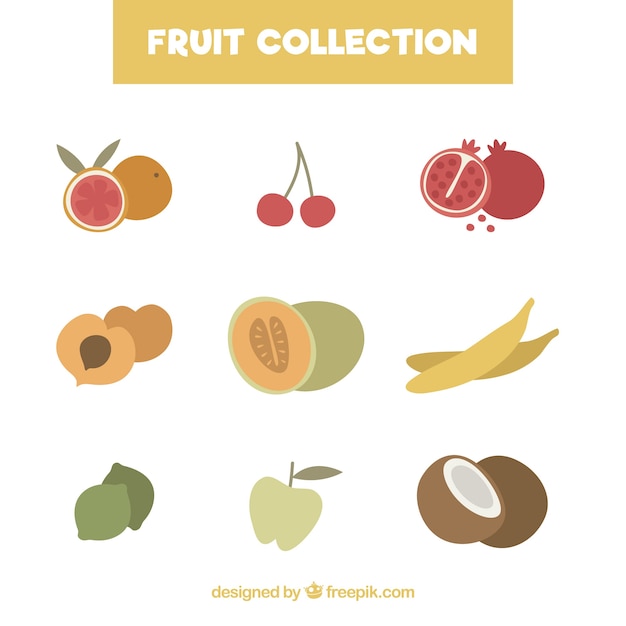 Free Vector collection of tasty fruits