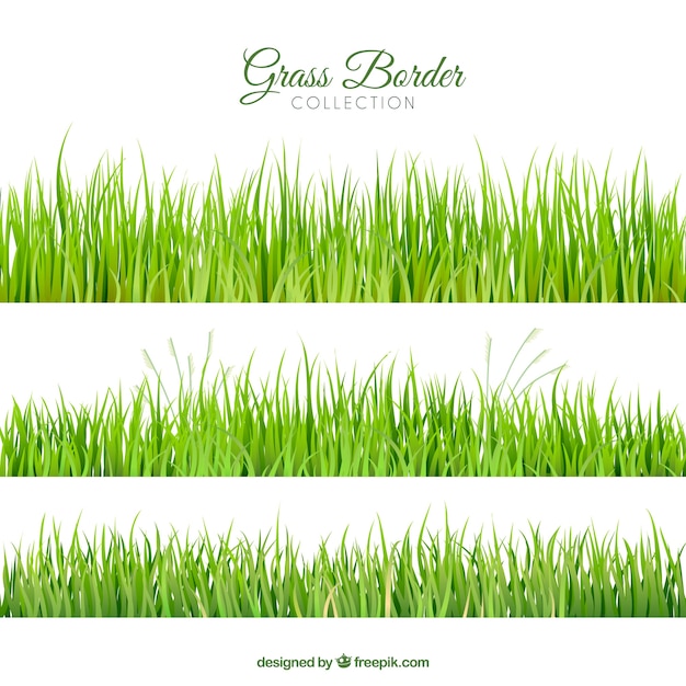 Free Vector collection of three realistic grass borders