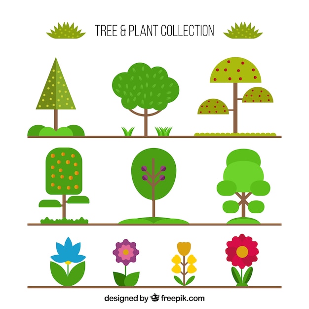 Collection of tree and plant in flat design